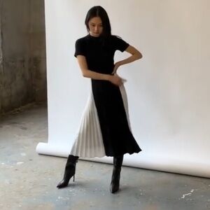 Misha Nonoo Halo Skirt (Black and White Pleated Skirt)